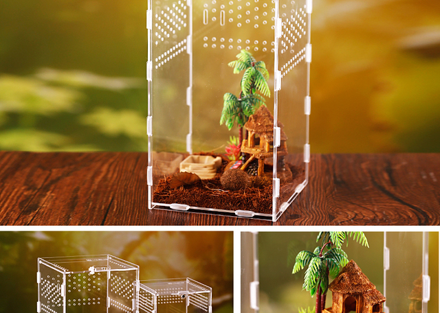 Inkubator gadów akrylowy Terrarium Transparentny Pająk Jaszczurka Skorpion Enti Oddychający Owad - Wianko - 13