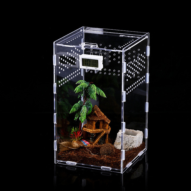 Inkubator gadów akrylowy Terrarium Transparentny Pająk Jaszczurka Skorpion Enti Oddychający Owad - Wianko - 4