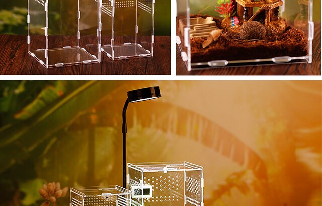Inkubator gadów akrylowy Terrarium Transparentny Pająk Jaszczurka Skorpion Enti Oddychający Owad - Wianko - 14