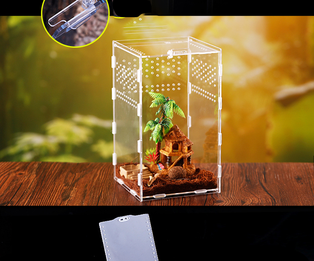Inkubator gadów akrylowy Terrarium Transparentny Pająk Jaszczurka Skorpion Enti Oddychający Owad - Wianko - 6