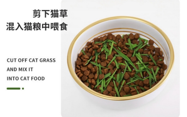Wermikulit Pet - zdrowie żołądkowo-jelitowe dla kota, psa i królika - naturalne kiełki w puszkach, trawa dostaw - organiczne witaminy i smakołyki - Wianko - 4