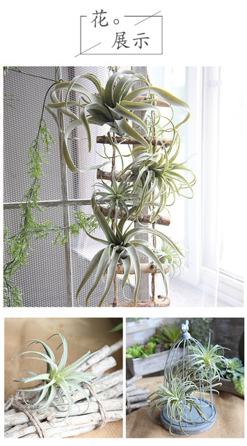 Sztuczne soczyste rośliny: zielona trawa, ananas, winorośl - domowe wiszące kwiaty dekoracyjne Bonsai - Wianko - 7