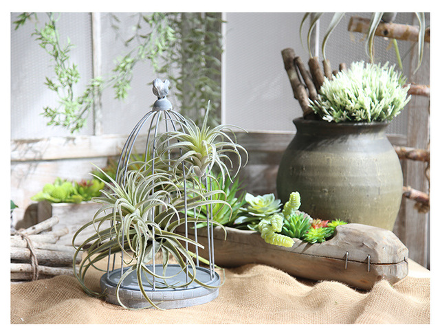 Sztuczne soczyste rośliny: zielona trawa, ananas, winorośl - domowe wiszące kwiaty dekoracyjne Bonsai - Wianko - 11