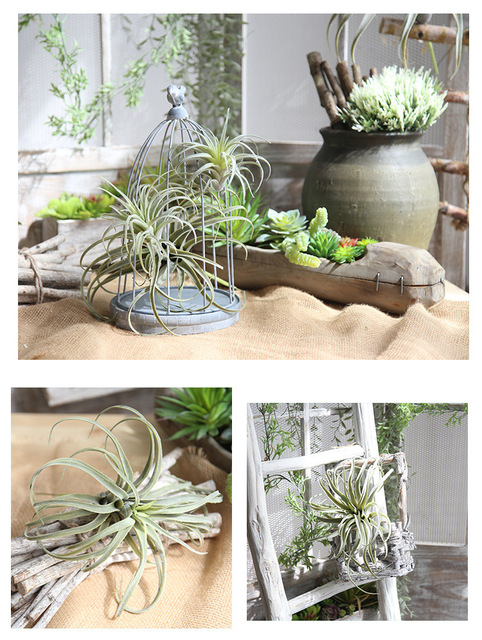 Sztuczne soczyste rośliny: zielona trawa, ananas, winorośl - domowe wiszące kwiaty dekoracyjne Bonsai - Wianko - 8