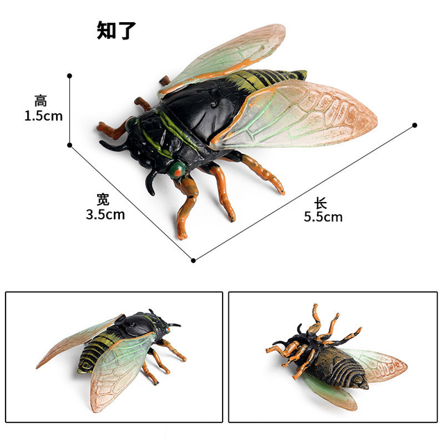 Figurka Modelu Zwierząt - Motyl, Pasikonik, Pająk, Mantis, Pszczoła, Miniaturowe Zabawki Edukacyjne dla Dzieci - Wianko - 23