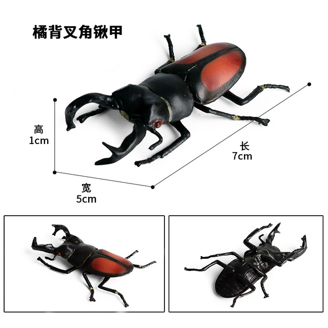 Figurka Modelu Zwierząt - Motyl, Pasikonik, Pająk, Mantis, Pszczoła, Miniaturowe Zabawki Edukacyjne dla Dzieci - Wianko - 25