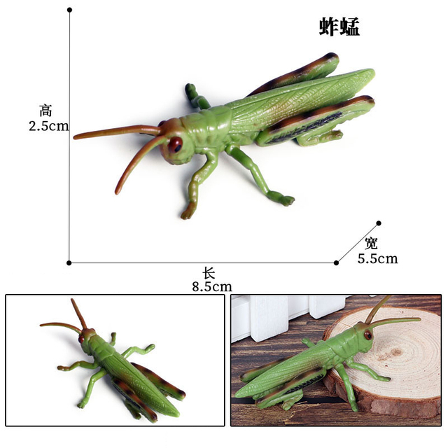 Figurka Modelu Zwierząt - Motyl, Pasikonik, Pająk, Mantis, Pszczoła, Miniaturowe Zabawki Edukacyjne dla Dzieci - Wianko - 11