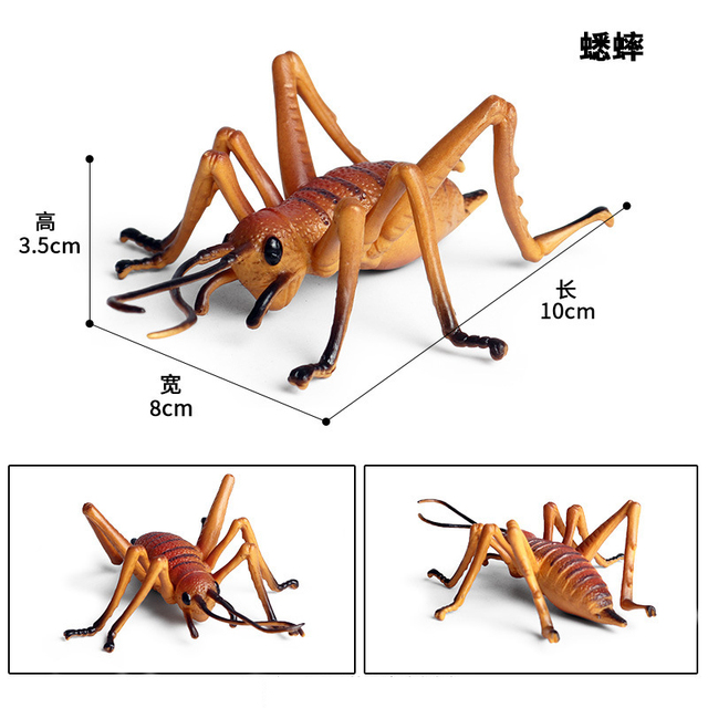 Figurka Modelu Zwierząt - Motyl, Pasikonik, Pająk, Mantis, Pszczoła, Miniaturowe Zabawki Edukacyjne dla Dzieci - Wianko - 35