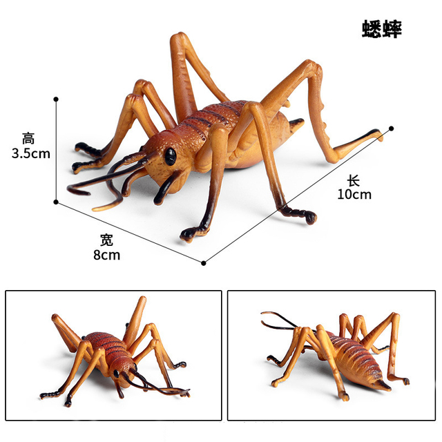 Figurka Modelu Zwierząt - Motyl, Pasikonik, Pająk, Mantis, Pszczoła, Miniaturowe Zabawki Edukacyjne dla Dzieci - Wianko - 27