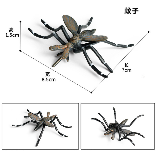 Figurka Modelu Zwierząt - Motyl, Pasikonik, Pająk, Mantis, Pszczoła, Miniaturowe Zabawki Edukacyjne dla Dzieci - Wianko - 28