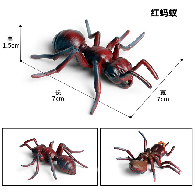Figurka Modelu Zwierząt - Motyl, Pasikonik, Pająk, Mantis, Pszczoła, Miniaturowe Zabawki Edukacyjne dla Dzieci - Wianko - 26