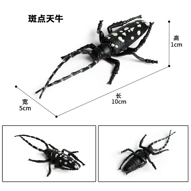 Figurka Modelu Zwierząt - Motyl, Pasikonik, Pająk, Mantis, Pszczoła, Miniaturowe Zabawki Edukacyjne dla Dzieci - Wianko - 24