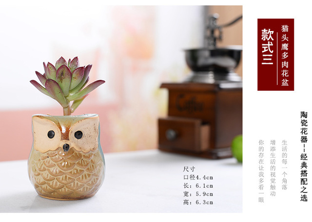 Mini ceramiczna doniczka na kwiaty w kształcie sowy - Japonia i Korea Południowa - Wianko - 9