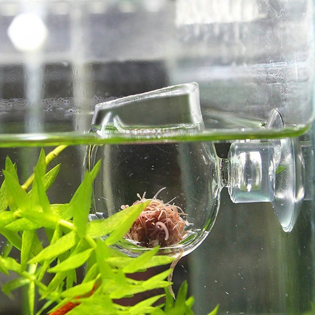 Kubek karmnik dla ryb kreatywnego akwarium: rośliny, czerwone robaki, przyssawka - Wianko - 1