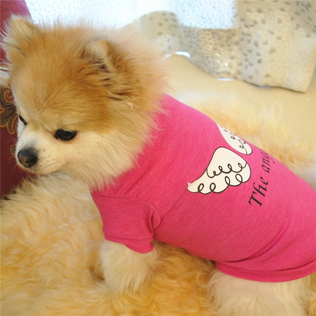 Koszula dla psa z motywem aniołka Chihuahua i maltańskiego psa - urocze ubranko dla małych i średnich psów w stylu letnim - Wianko - 6