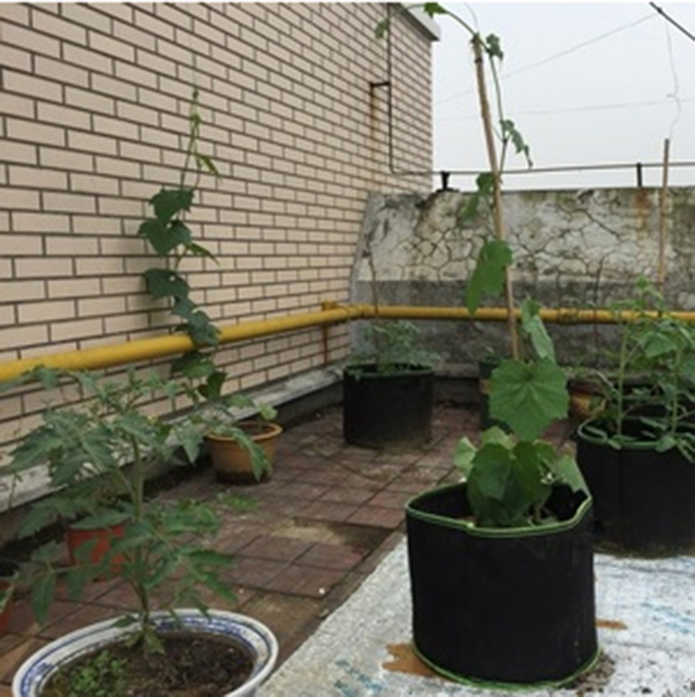 Torba ogrodnicza na korzenie doniczkowe rośliny galonu czarnej wurzelnik powiększający się pojemnik sadzarka filcowa - Wianko - 7