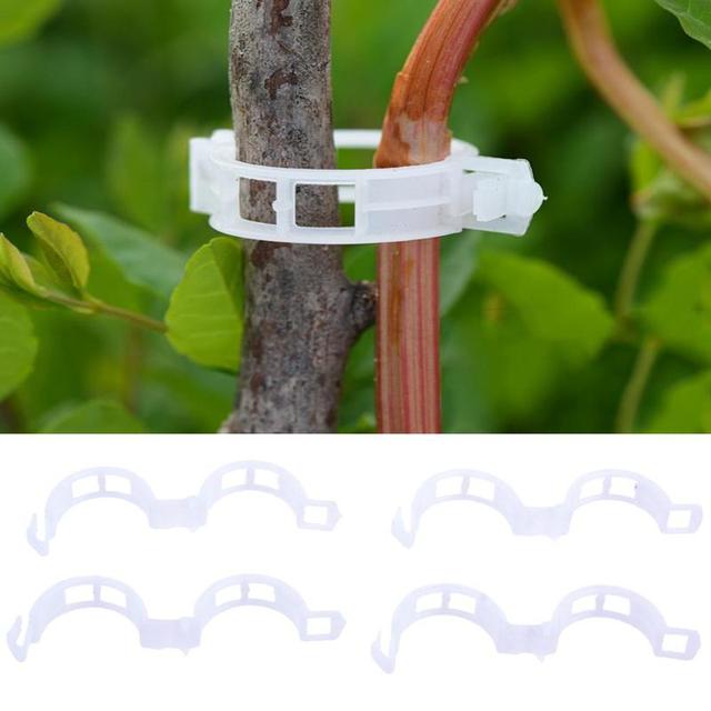 Plastikowe klipsy wielokrotnego użytku 50/100 szt. do podpierania roślin w ogrodzie - Wianko - 4