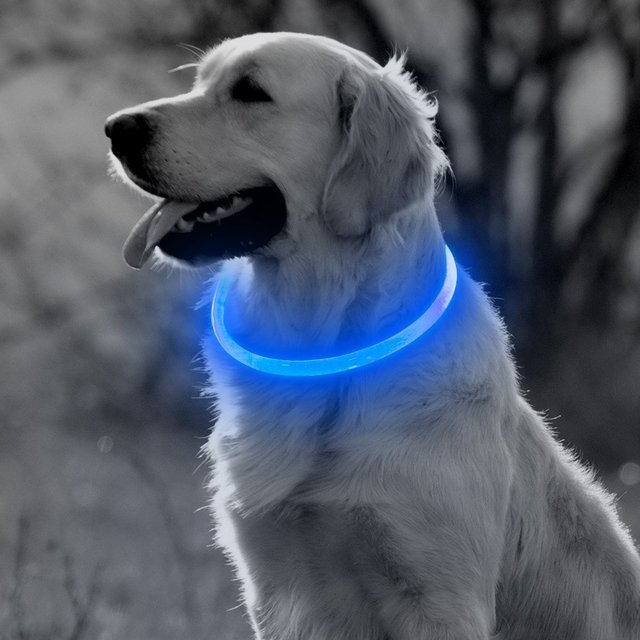 USB akumulator na obrożę dla psa – świecąca miga w nocy, widzialna obroża LED dla małych i dużych zwierząt domowych - Wianko - 15