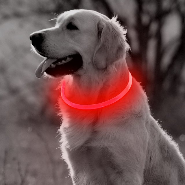 USB akumulator na obrożę dla psa – świecąca miga w nocy, widzialna obroża LED dla małych i dużych zwierząt domowych - Wianko - 14