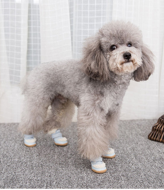 Buty zimowe dla małych ras psów i kotów, Chihuahua - śniegowce, najlepiej sprzedające się obuwie dla zwierząt - Wianko - 7