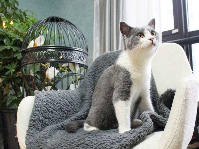 Miękkie puszyste kocyk zimowy dla zwierząt domowych - polar łóżko dla psów i kotów - Wianko - 4