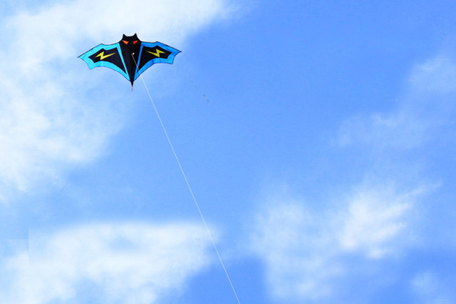 3D latawiec dla dzieci - sportowa zabawka do lotów na plaży - smok windsurf - miękki latawiec zasilany przewodem - Wianko - 3
