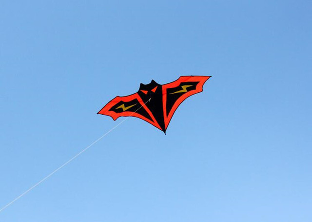 3D latawiec dla dzieci - sportowa zabawka do lotów na plaży - smok windsurf - miękki latawiec zasilany przewodem - Wianko - 4