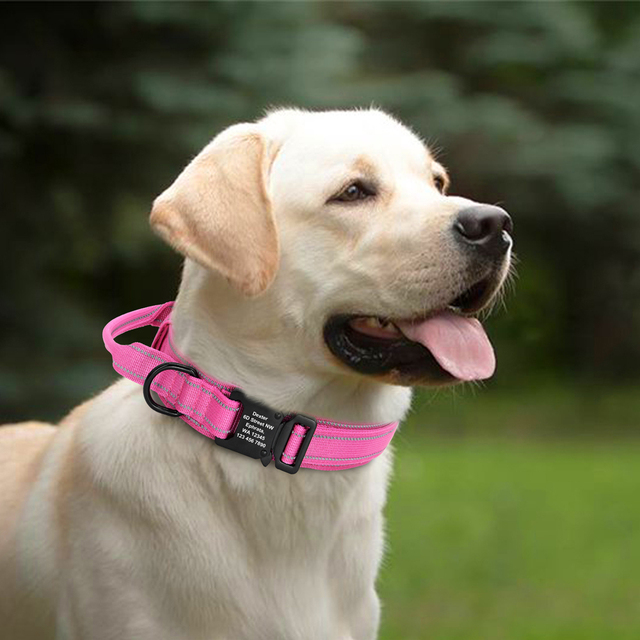 Spersonalizowana nylonowa obroża treningowa dla średnich i dużych psów - darmowa personalizacja i regulacja - Wianko - 17
