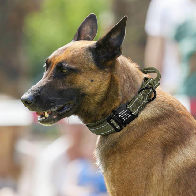Spersonalizowana nylonowa obroża treningowa dla średnich i dużych psów - darmowa personalizacja i regulacja - Wianko - 16