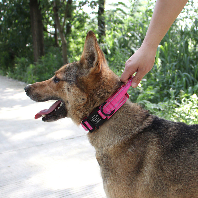 Spersonalizowana nylonowa obroża treningowa dla średnich i dużych psów - darmowa personalizacja i regulacja - Wianko - 19