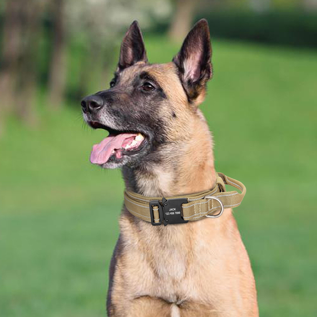 Spersonalizowana nylonowa obroża treningowa dla średnich i dużych psów - darmowa personalizacja i regulacja - Wianko - 14