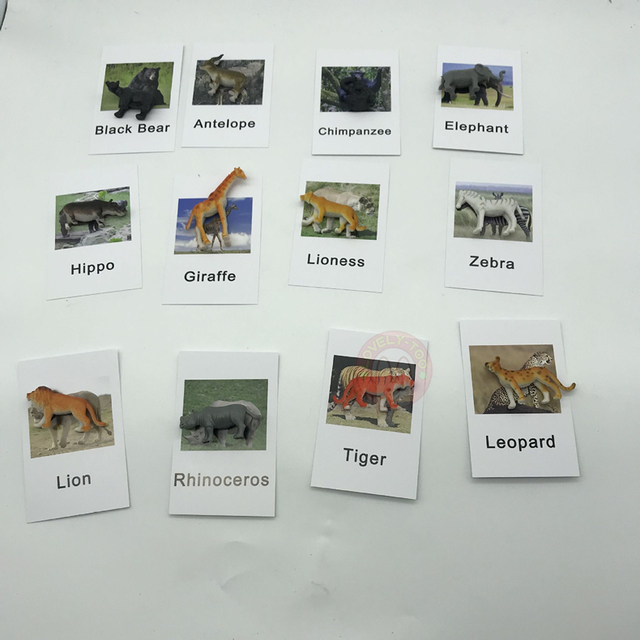 Montessori - modele biologiczne zwierząt gospodarskich dla chłopców (24 sztuki) - Wianko - 5