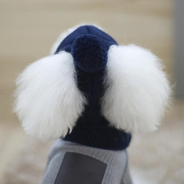 Szczeniak Pluszowy kostium zimowy szalik + czapka w paski boże narodzenie - Wianko - 9