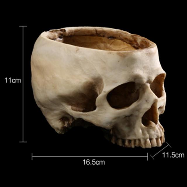 Rzemiosło żywiczne - Model szkieletu człowieka z zębem, czaszką i skamieliną - Doniczka na kwiaty Halloween - Nowość! - Wianko - 9