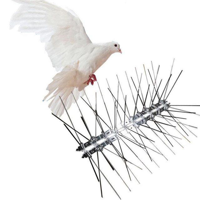 Ptak kolce - zestaw 4 sztuki, skuteczna ochrona przed ptakami i szkodnikami - Wianko - 2