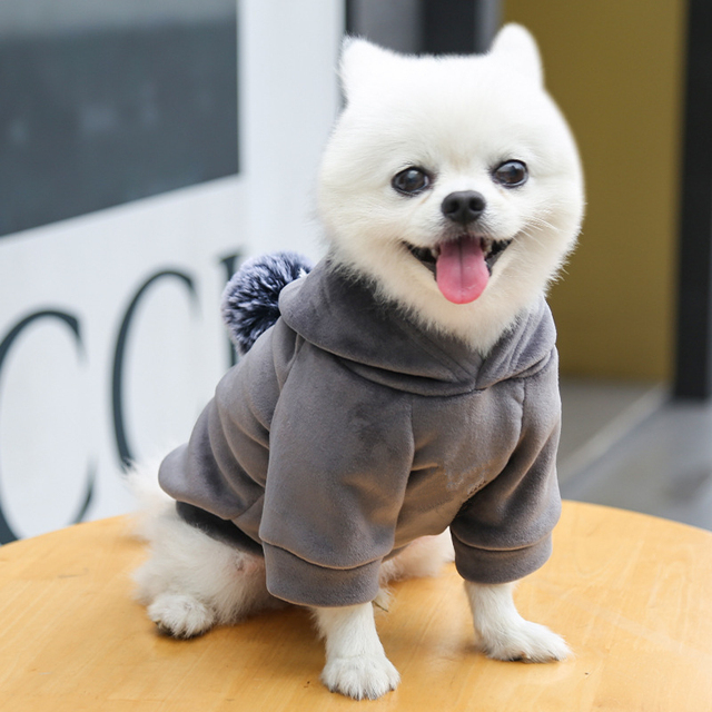 Ciepły polarowa bluza z kapturem dla małych psów - urocza odzież dla zwierząt - Wianko - 12