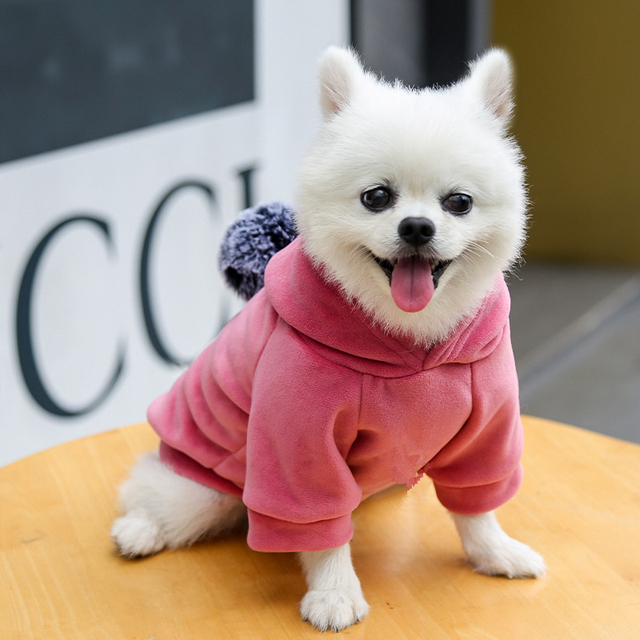 Ciepły polarowa bluza z kapturem dla małych psów - urocza odzież dla zwierząt - Wianko - 16