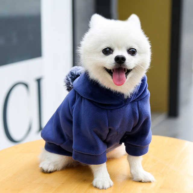 Ciepły polarowa bluza z kapturem dla małych psów - urocza odzież dla zwierząt - Wianko - 18