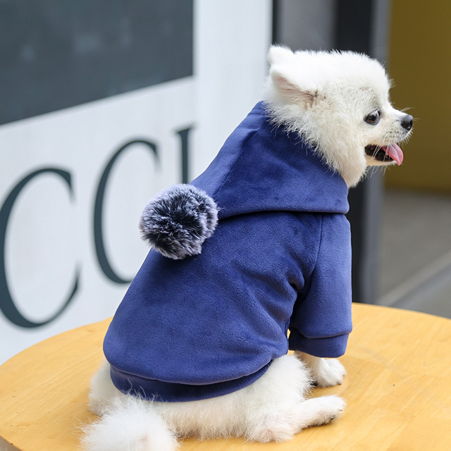 Ciepły polarowa bluza z kapturem dla małych psów - urocza odzież dla zwierząt - Wianko - 19