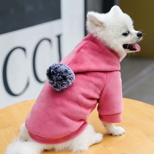 Ciepły polarowa bluza z kapturem dla małych psów - urocza odzież dla zwierząt - Wianko - 15