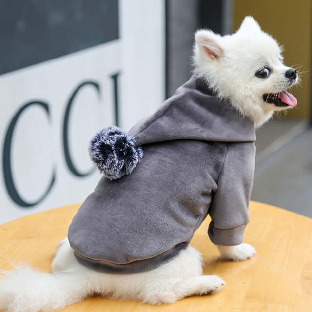 Ciepły polarowa bluza z kapturem dla małych psów - urocza odzież dla zwierząt - Wianko - 13