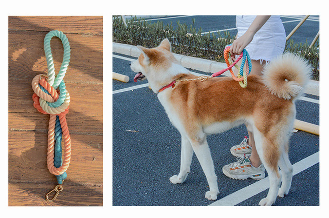 Okrogła bawełniana smycz dla kota w kolorowe linie do prowadzenia psy dla zwierząt domowych smycze pieski na spacery i trening na zewnątrz bawełniane linie prowadzące - Wianko - 1