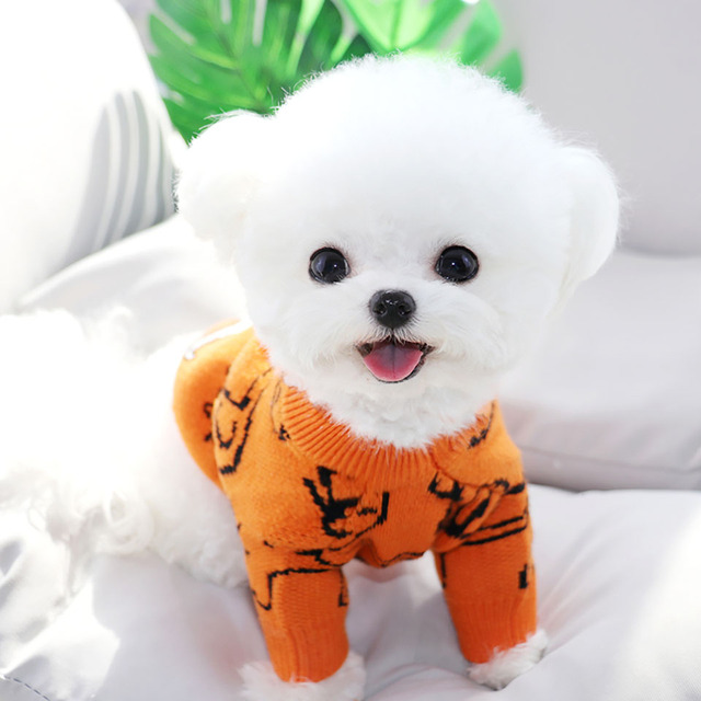 Szczękidło dla psów - pomarańczowy sweter z motywem słońca, idealny na jesień i zimę - Wianko - 2