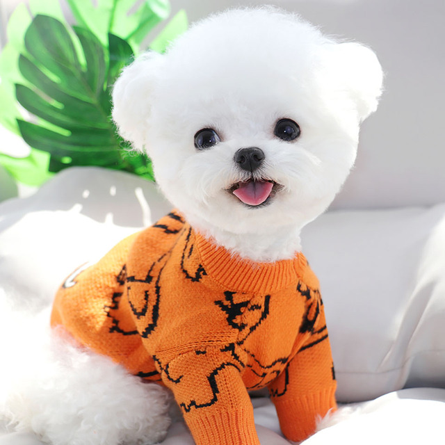 Szczękidło dla psów - pomarańczowy sweter z motywem słońca, idealny na jesień i zimę - Wianko - 4
