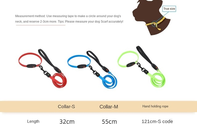 Pet Luminous - rozwijana smycz LED na USB dla psa z litową baterią i świetlistą obrożą - Wianko - 3