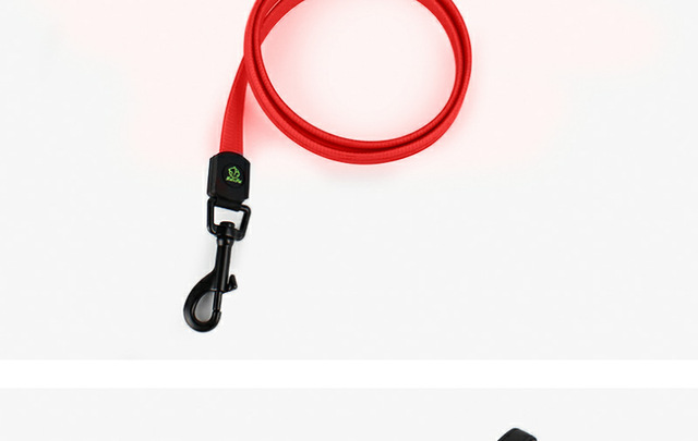 Pet Luminous - rozwijana smycz LED na USB dla psa z litową baterią i świetlistą obrożą - Wianko - 14