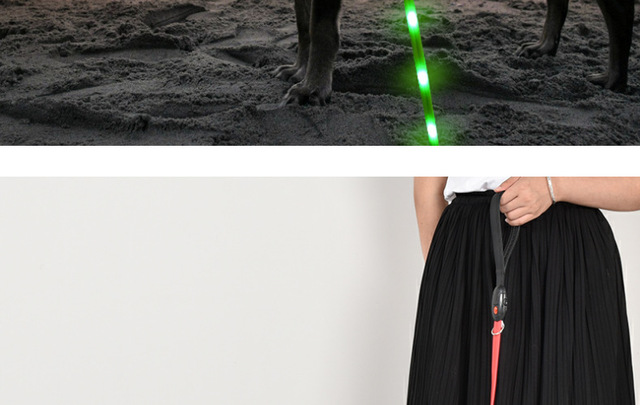 Pet Luminous - rozwijana smycz LED na USB dla psa z litową baterią i świetlistą obrożą - Wianko - 26