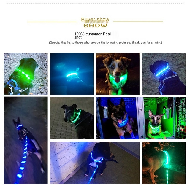 Pet Luminous - rozwijana smycz LED na USB dla psa z litową baterią i świetlistą obrożą - Wianko - 1