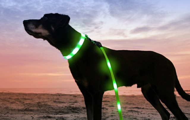 Pet Luminous - rozwijana smycz LED na USB dla psa z litową baterią i świetlistą obrożą - Wianko - 25