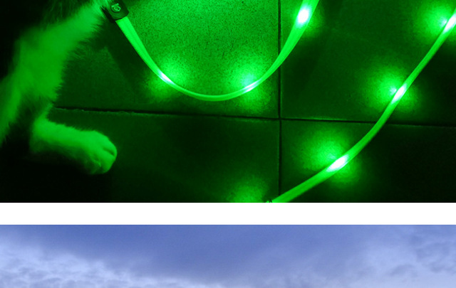 Pet Luminous - rozwijana smycz LED na USB dla psa z litową baterią i świetlistą obrożą - Wianko - 24